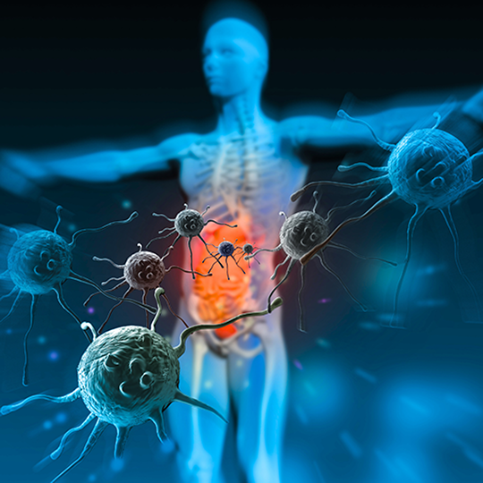 Daily Lift Shilajit Liquid Drops – Sale 17 Daily Lift Shilajit Liquid Drops – Sale