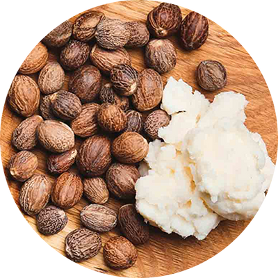 Carbón de Bambú